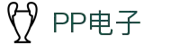 pp电子(中国)官方网站